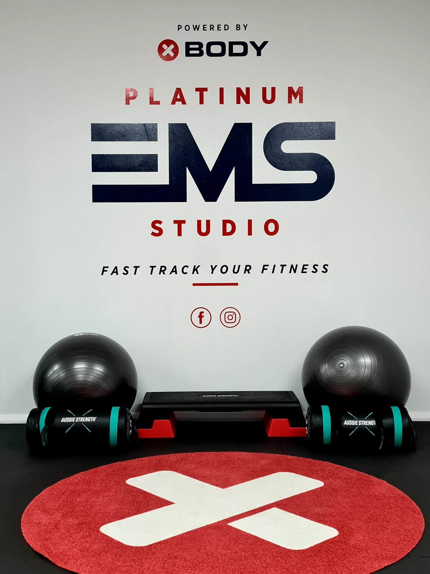 Platinum EMS Studio